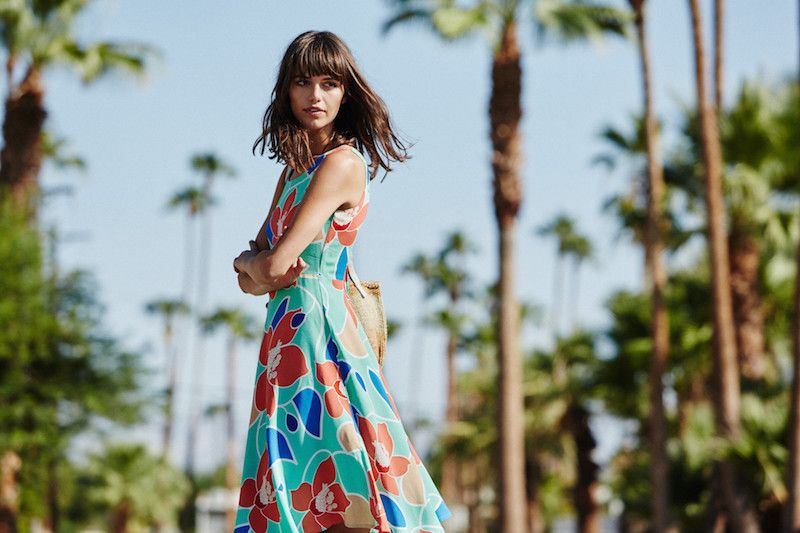 MISTER ZIMI Sales 107 MISTER ZIMI Sales -MISTER ZIMI Sales 541